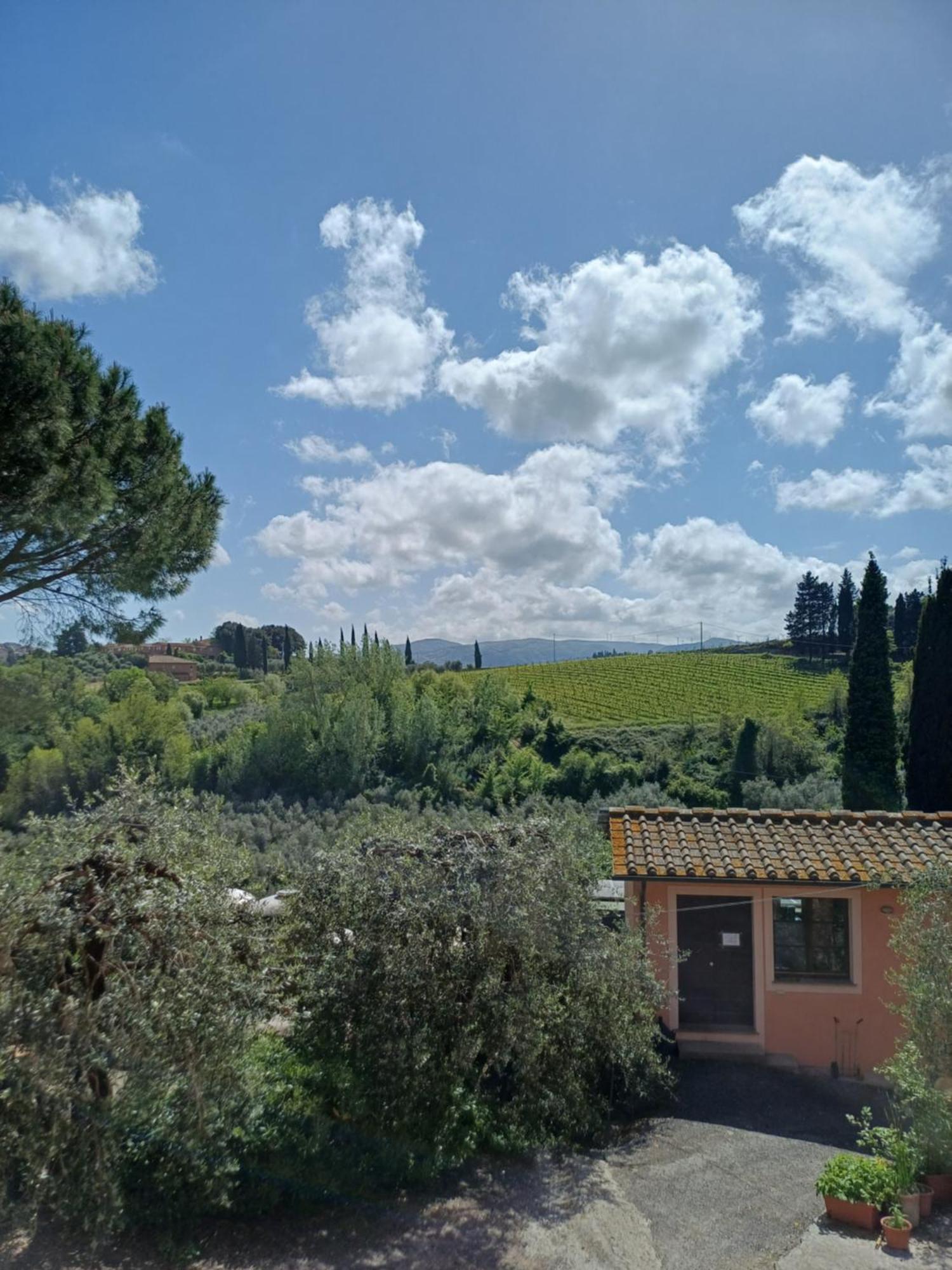 Agriturismo Terre Di Toscana Terricciola Dış mekan fotoğraf